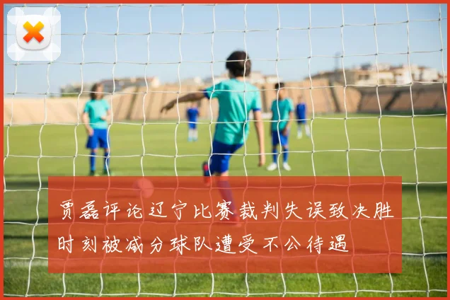 贾磊评论辽宁比赛裁判失误致决胜时刻被减分球队遭受不公待遇
