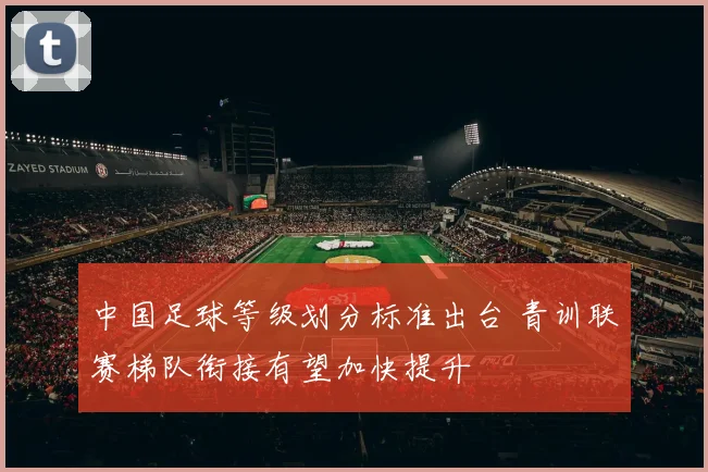 中国足球等级划分标准出台 青训联赛梯队衔接有望加快提升